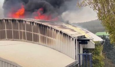 Arnavutköy’de fabrika yangını: Çok sayıda ekip bölgede