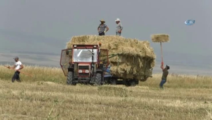 Kars’ta çiftçilerin sıcak havada ot toplama mesaisi