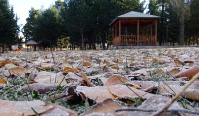 Kars’ta soğuk hava ve kırağı etkili oldu