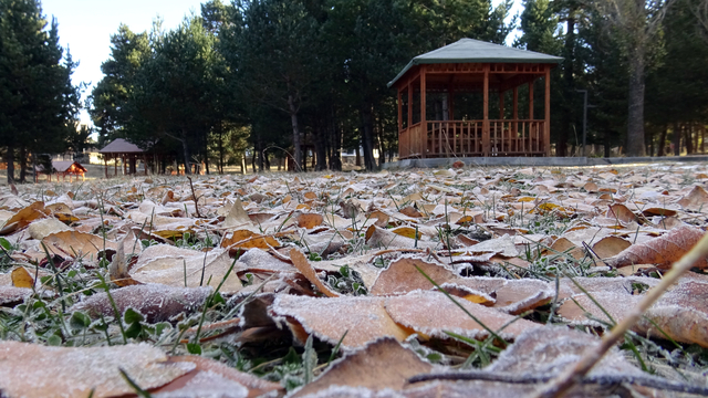 Kars’ta soğuk hava ve kırağı etkili oldu