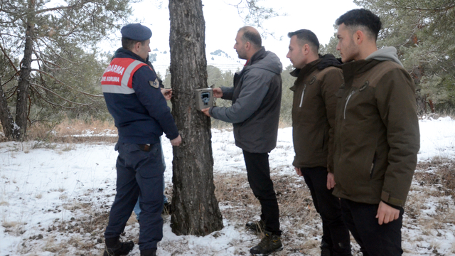 Kars’ın ormanlarına yaban hayvanlarının takibi için fotokapanlar yerleştirildi