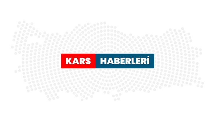 Kars’ta kızıl tilkiler karla kaplı arazide av mesaisinde